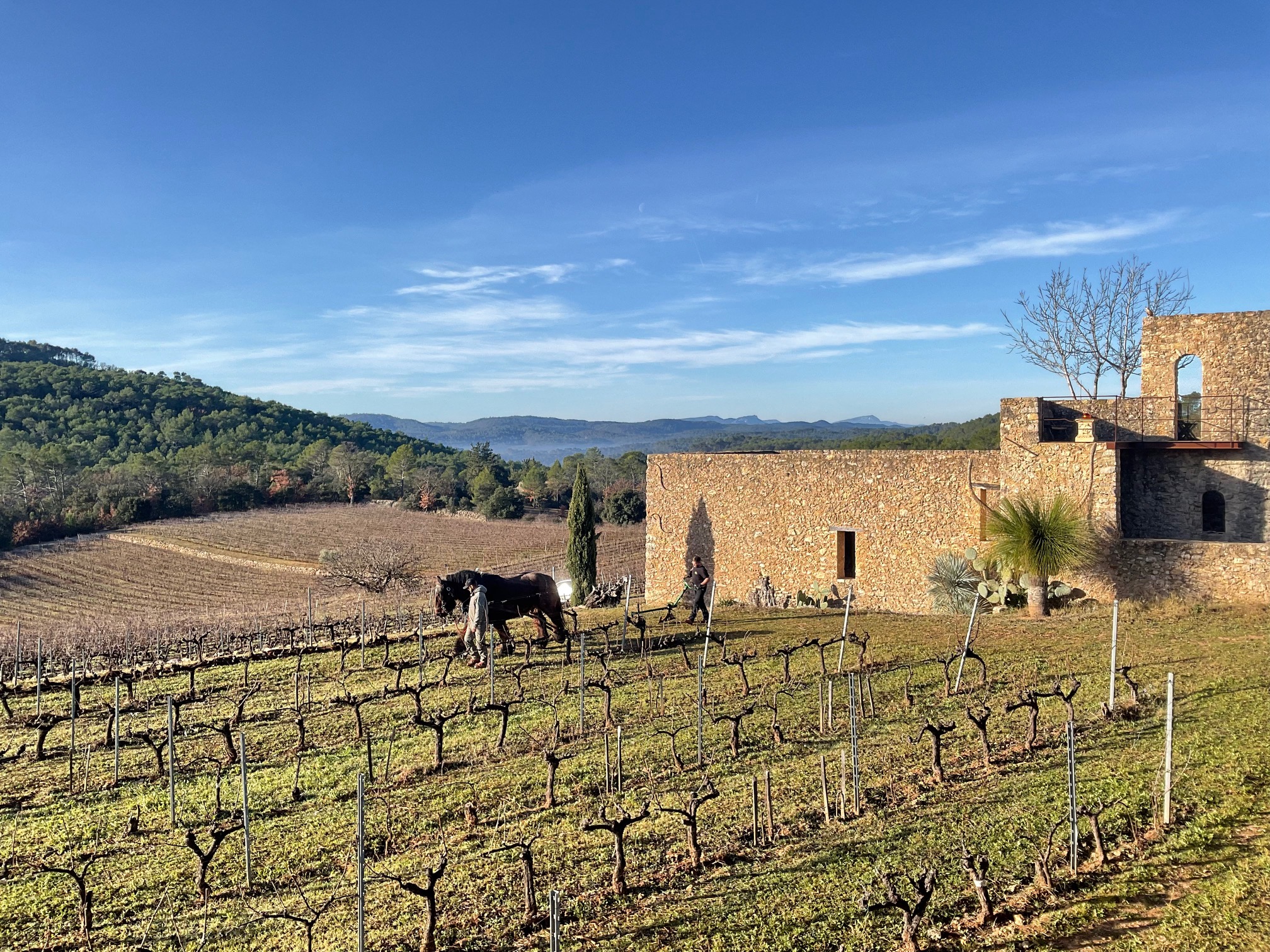 Visite et dégustation au domaine Domaine de Gavaisson