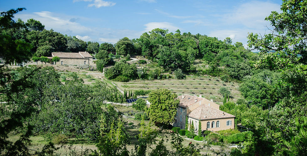Visite et dégustation au domaine La Cave du Château de Lagarde
