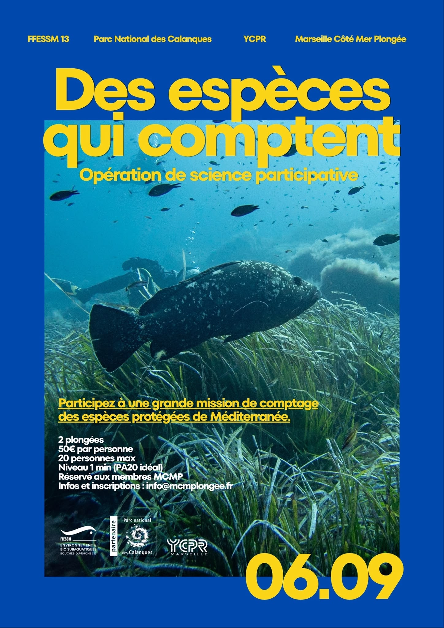 Baptême de plongée avec Marseille Côté Mer Plongée (MCMP)