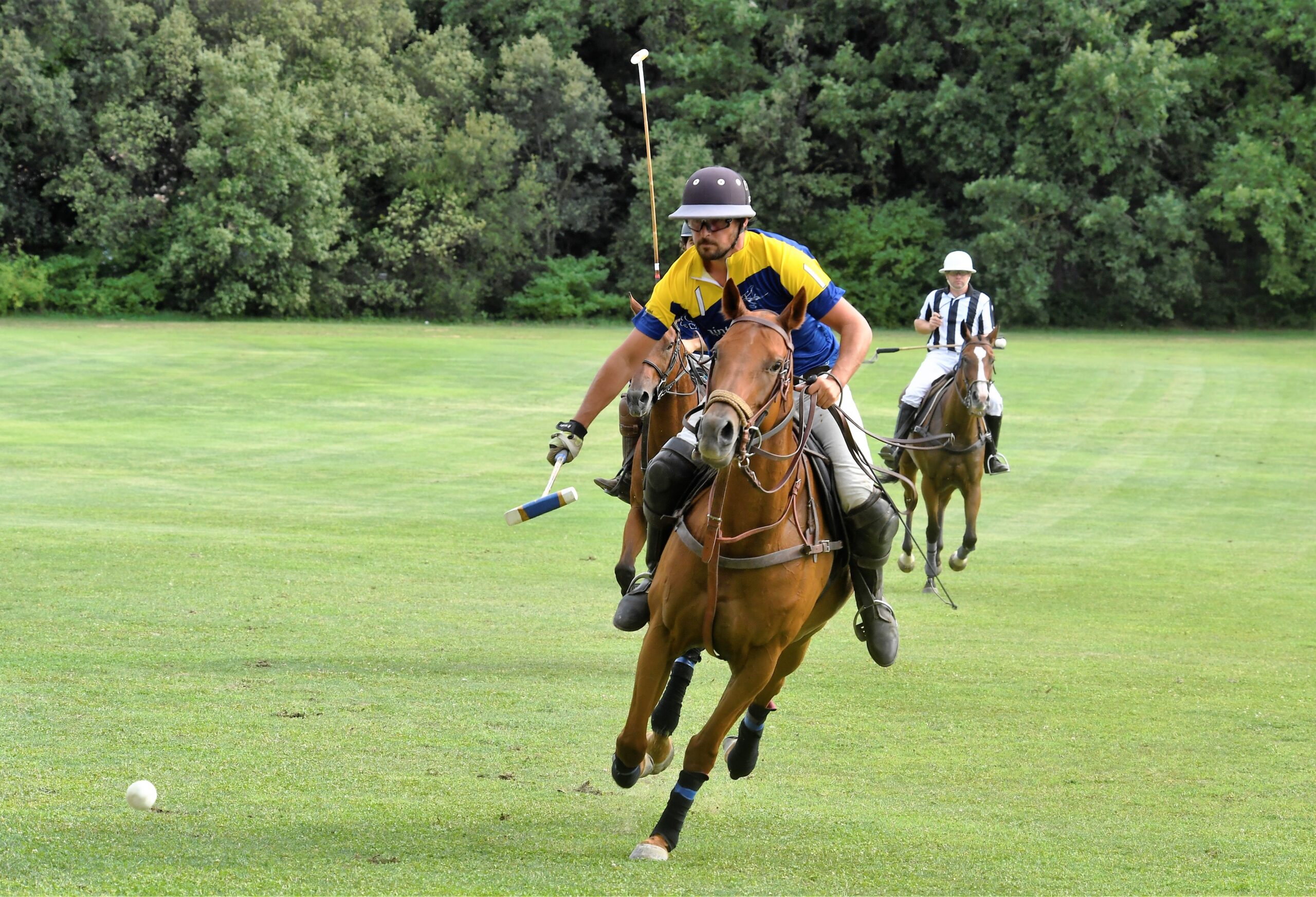 Balade à cheval avec Saint-Cannat Polo Club