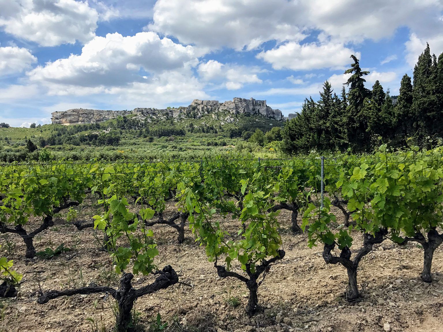 Visite et dégustation au domaine Mas Sainte-Berthe
