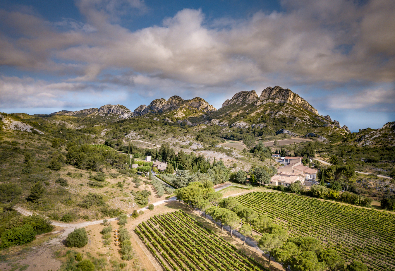 Visite et dégustation au domaine Domaine de la Vallongue