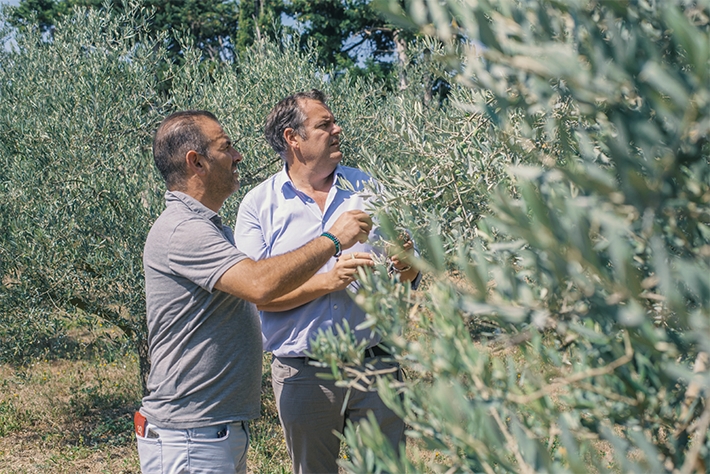 Visite et dégustation au domaine Domaine de Métifiot