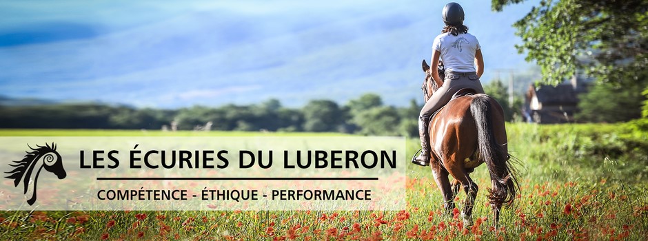 Balade à cheval avec Les écuries du Luberon