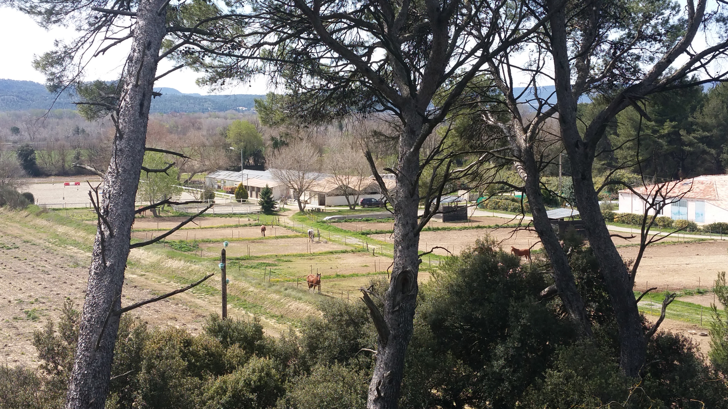 Balade à cheval avec Ecuries de la Loubière