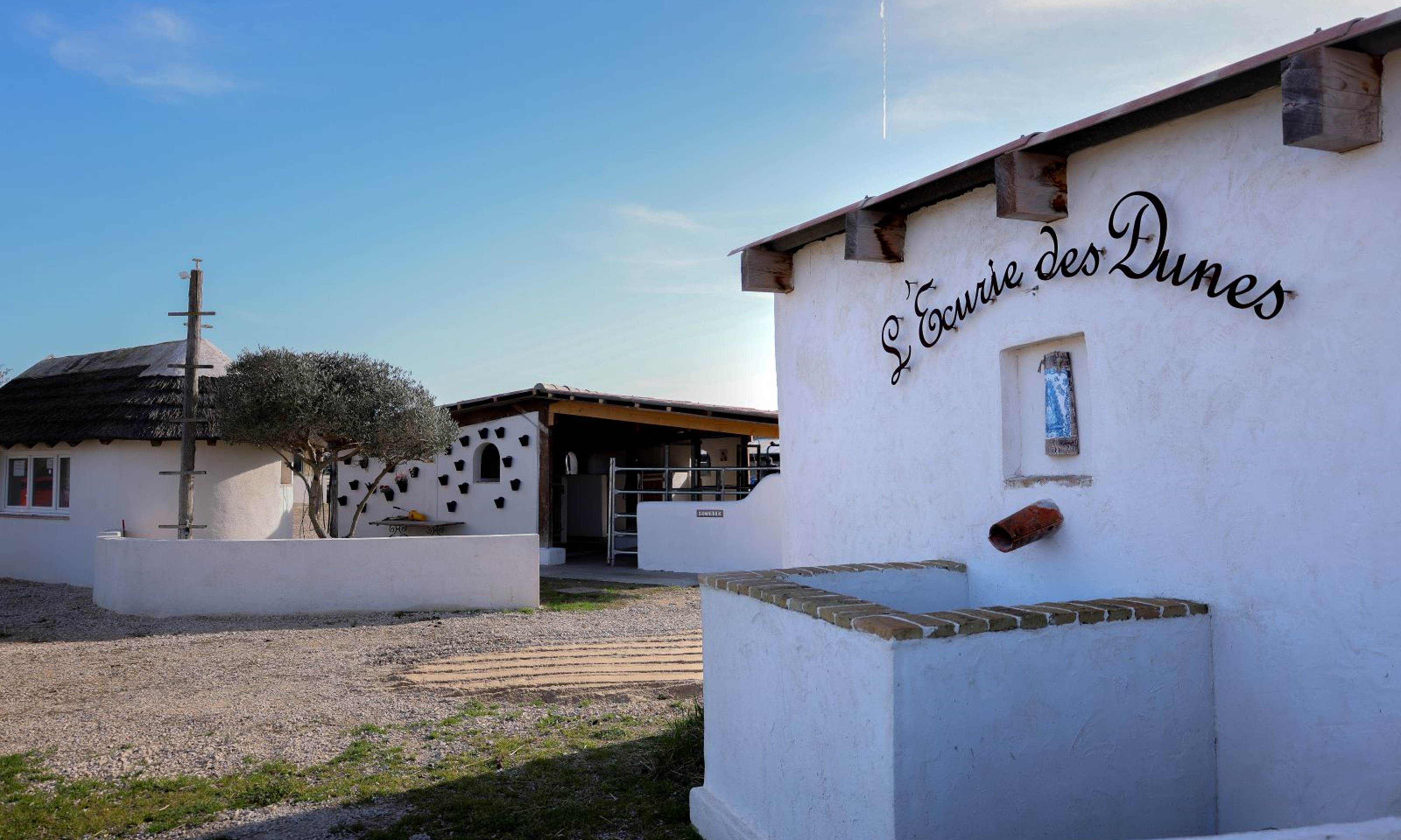 Balade à cheval avec L'Écurie des Dunes