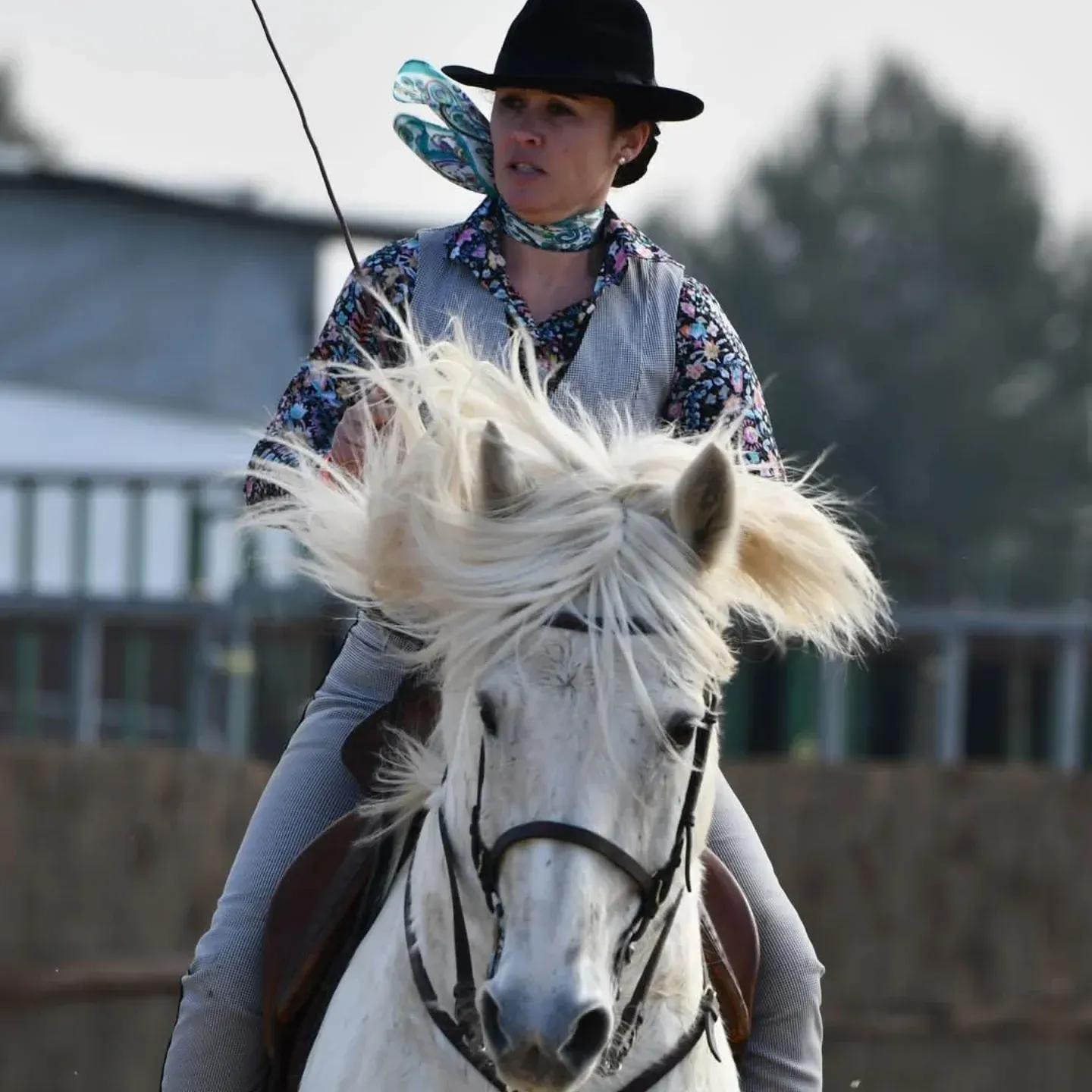 Balade à cheval avec Élevage des Sagnes