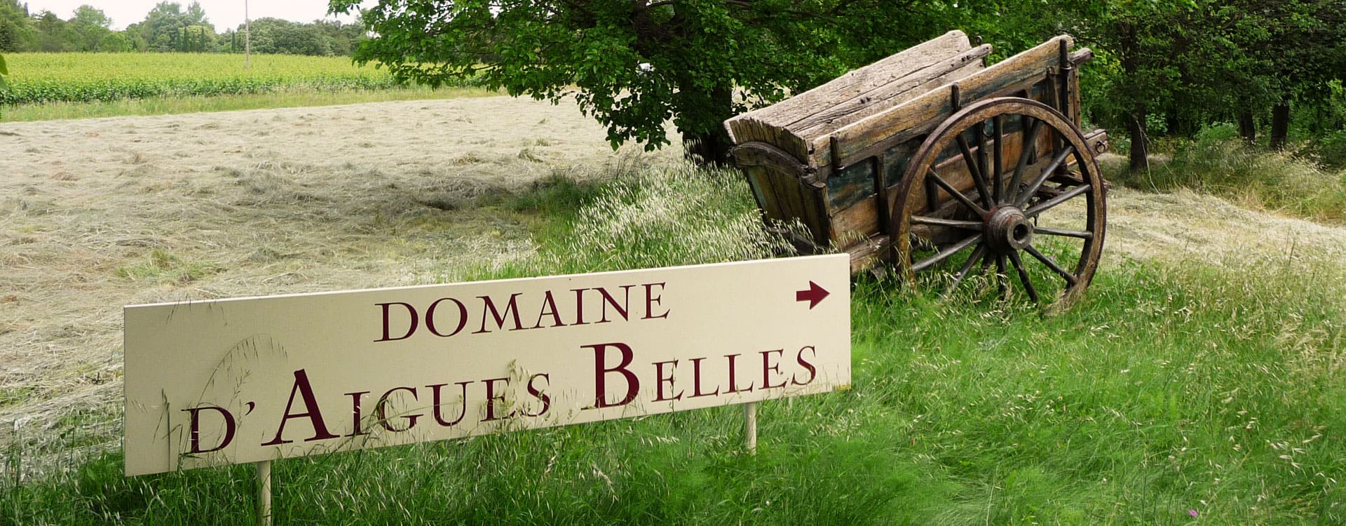 Visite et dégustation au domaine Domaine d’Aigues Belles