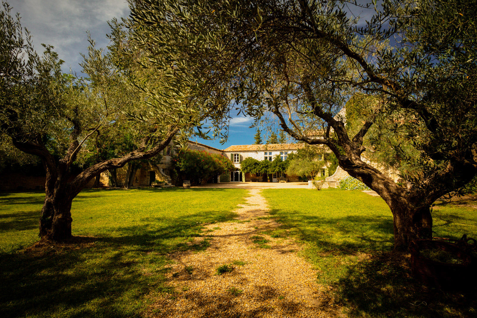 Visite et dégustation au domaine Mas des Tourelles