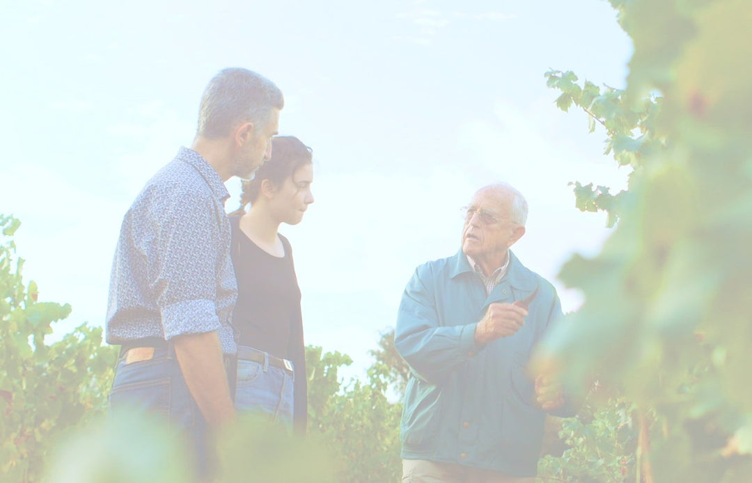 Visite et dégustation au domaine Château de Nages - Domaine Gassier