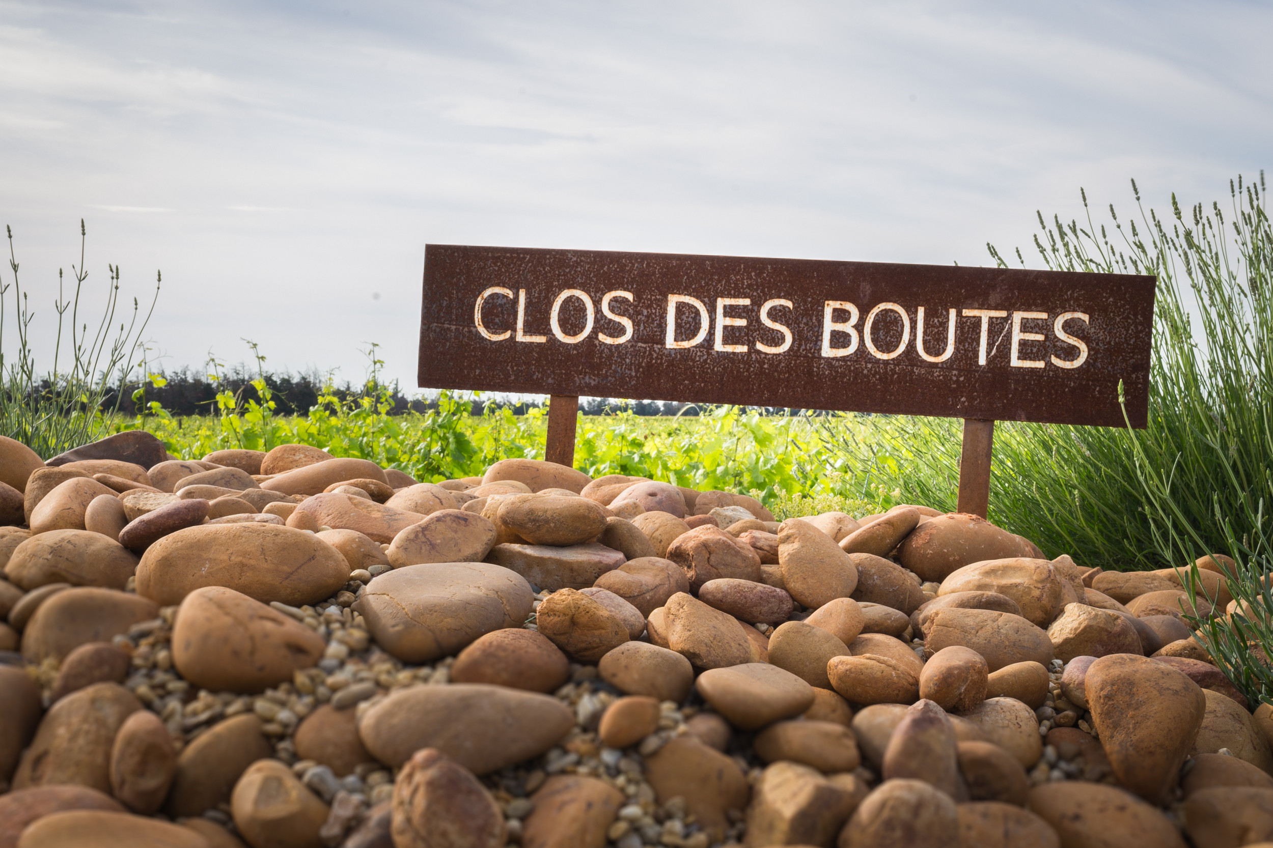 Visite et dégustation au domaine Clos des boutes