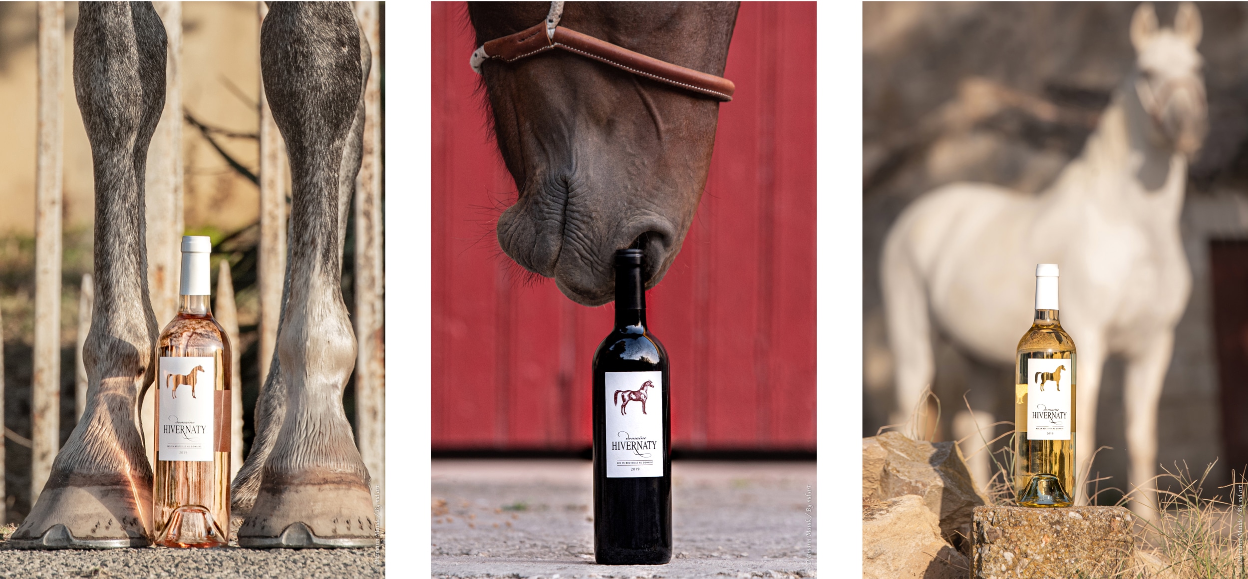 Visite et dégustation au domaine Vins Domaine Hivernaty