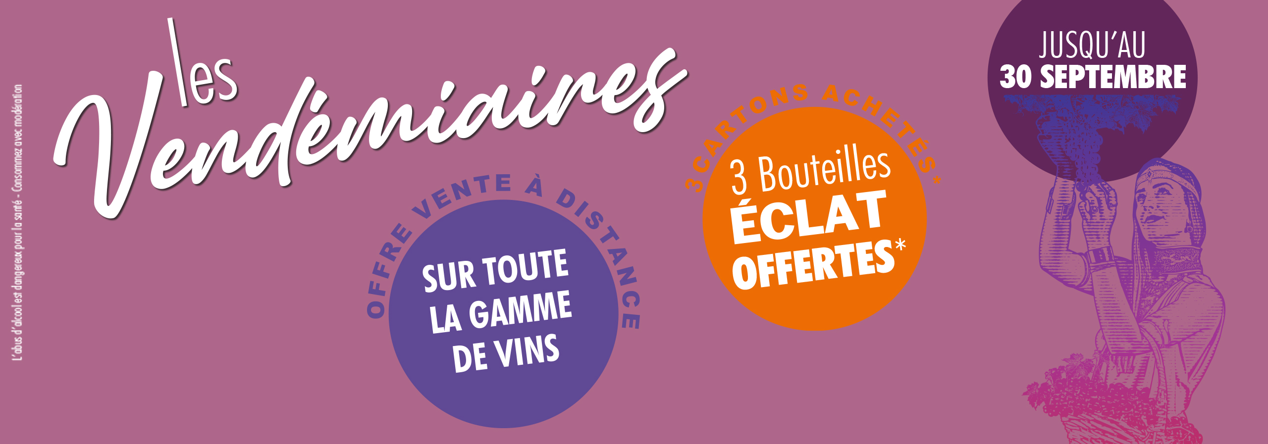 Visite et dégustation au domaine Les Collines de Bourdic - Cave de Saint-Maximin