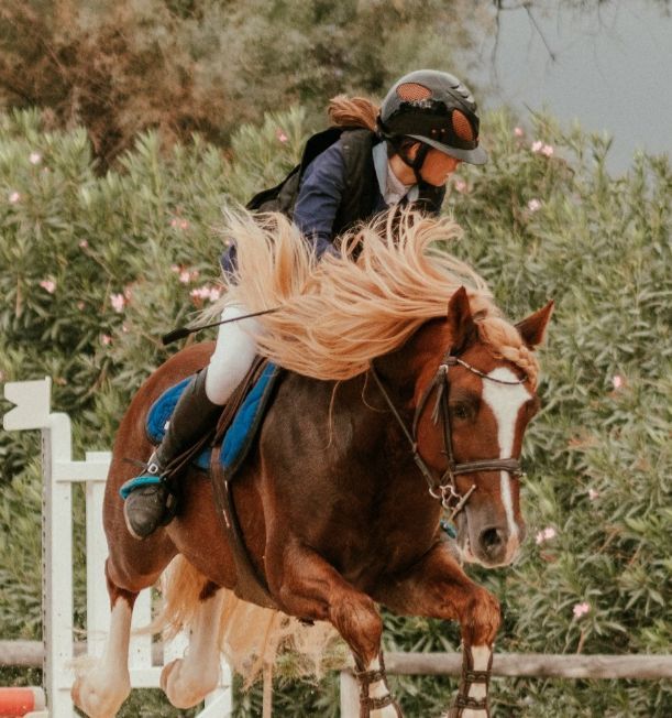 Balade à cheval avec Saint-Georges Équitation