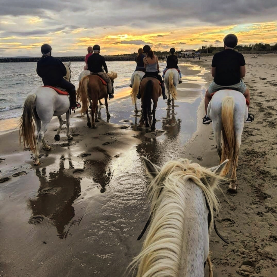 Balade à cheval avec Ranch Fumat