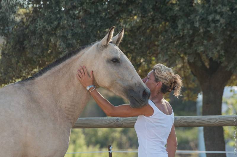 Balade à cheval avec Haras de Castries