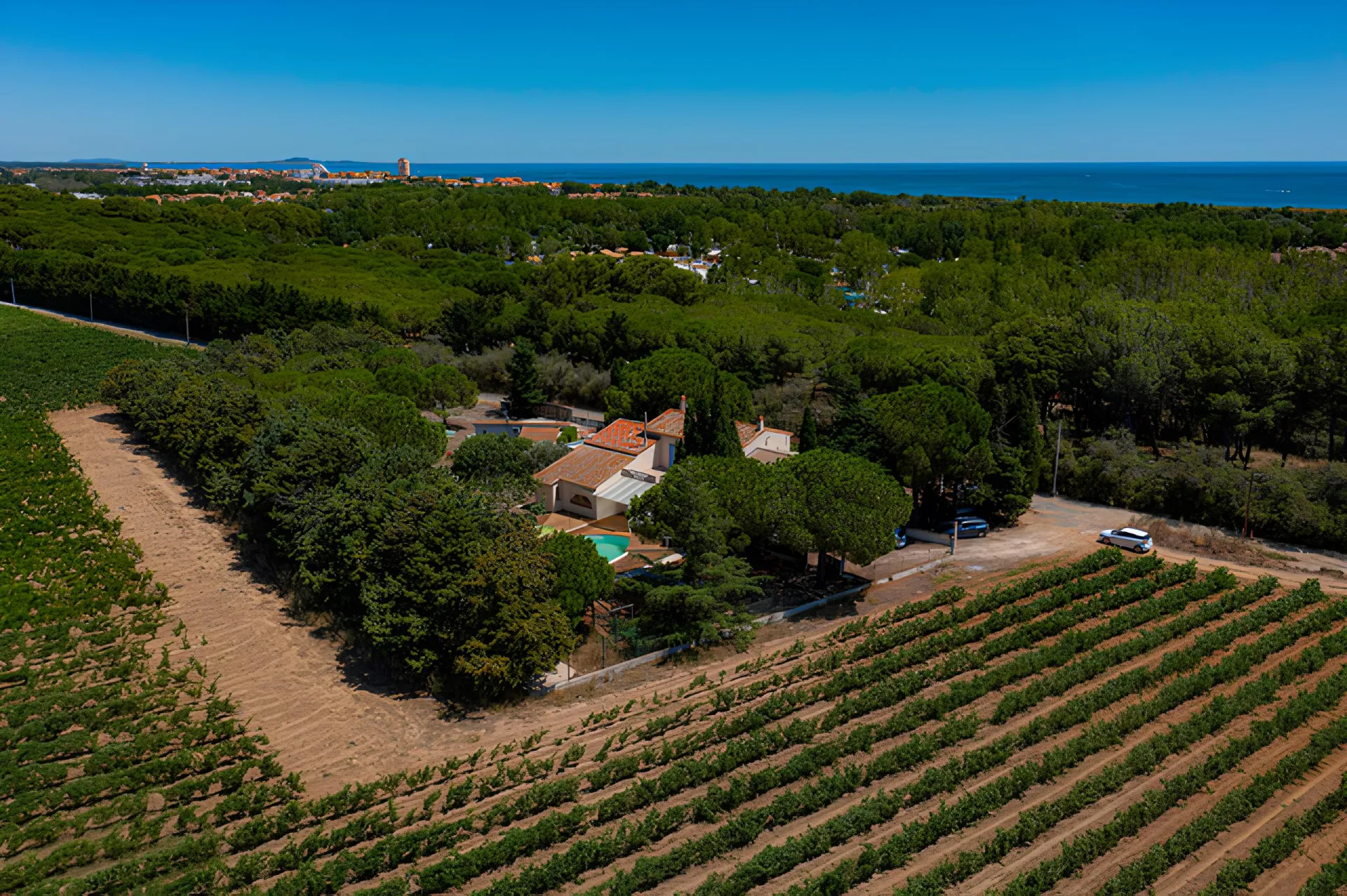 Visite et dégustation au domaine Domaine de la Yole