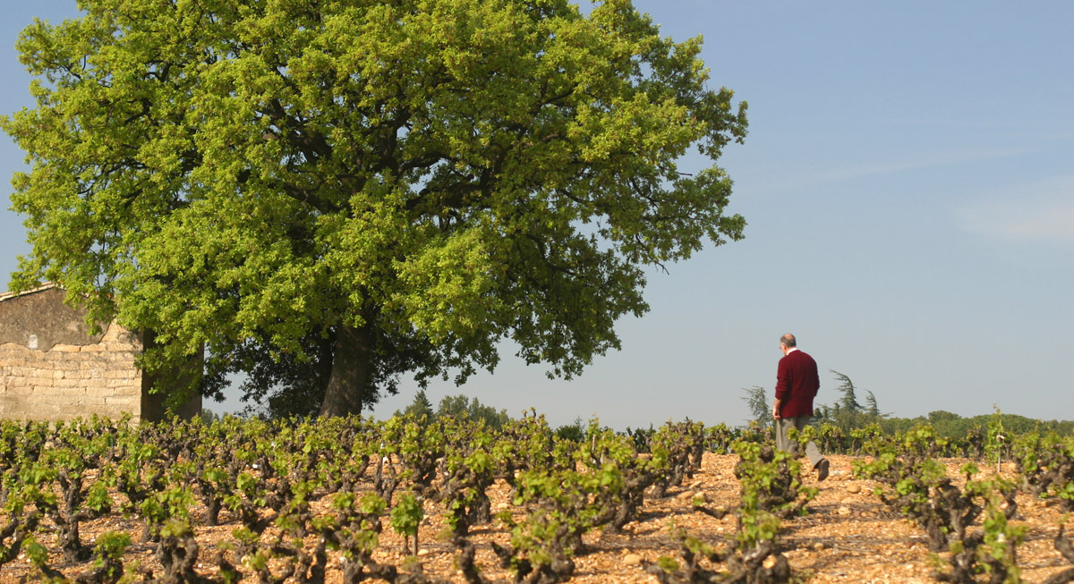 Visite et dégustation au domaine Château Grès Saint-Paul