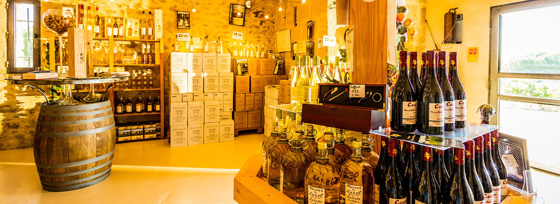 Visite et dégustation au domaine Domaine Le Clos de Bellevue