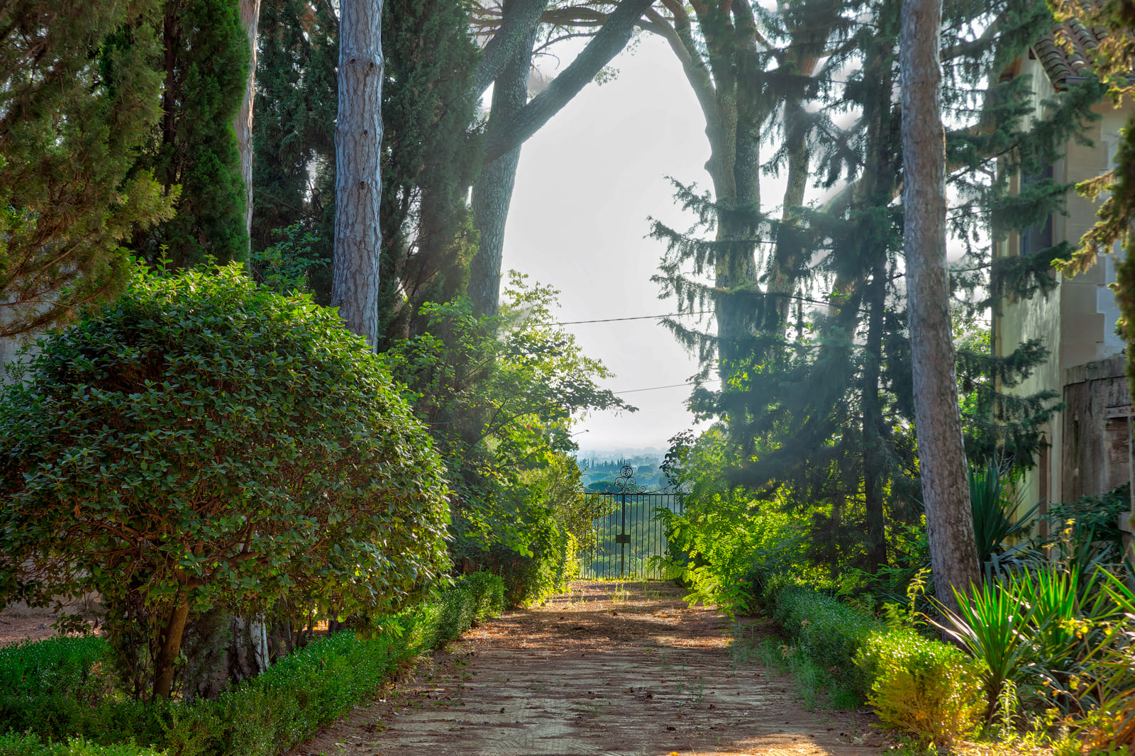 Visite et dégustation au domaine La Tour de Farges