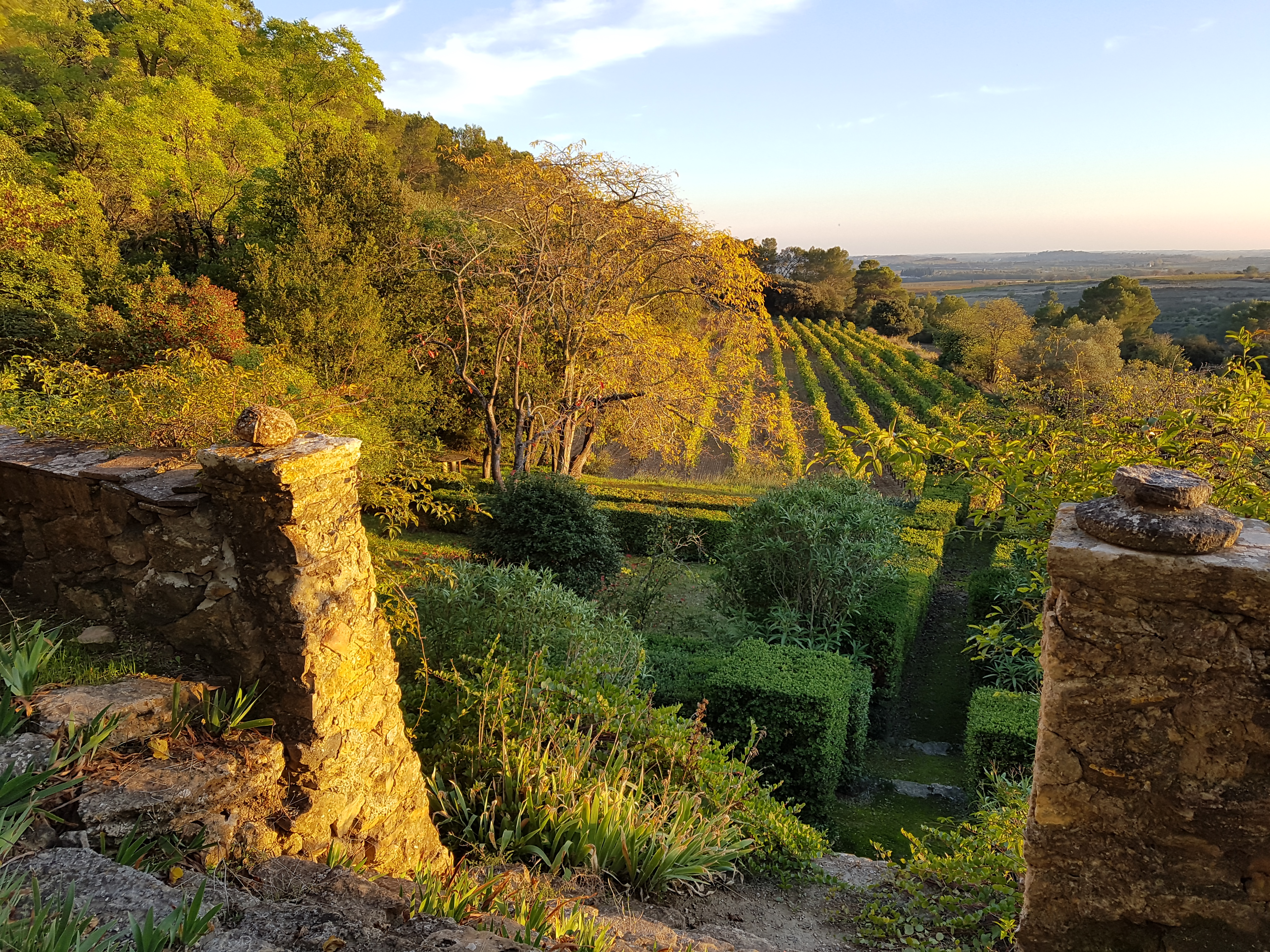Visite et dégustation au domaine Domaine Terres des Perdrix