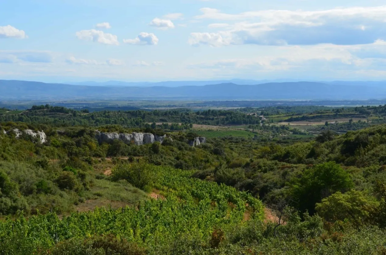 Visite et dégustation au domaine Les Combes Cachées