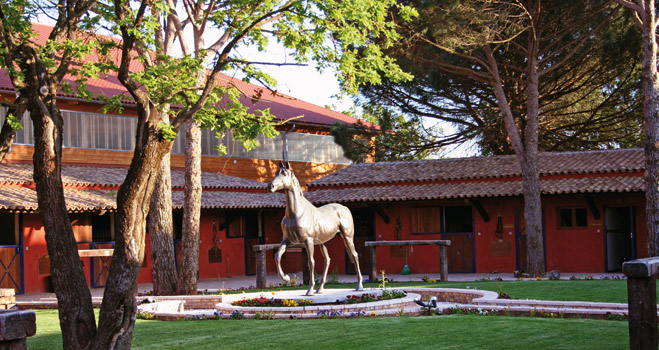Balade à cheval avec Domaine Équestre des Grands Pins
