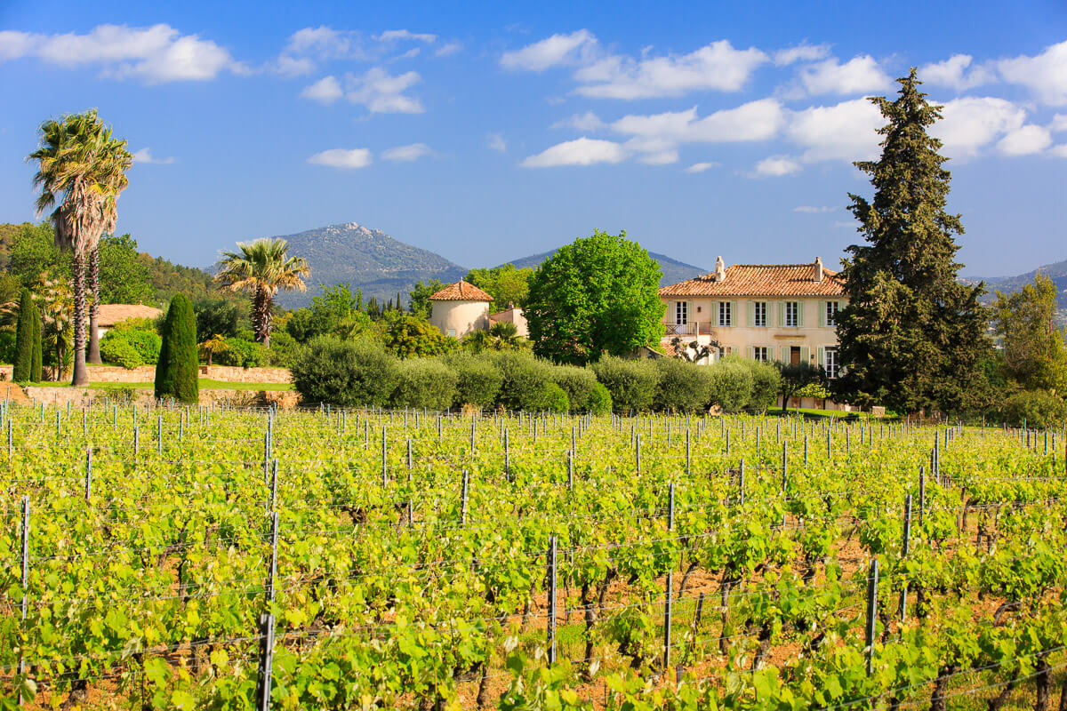 Visite et dégustation au domaine Château Barbeyrolles