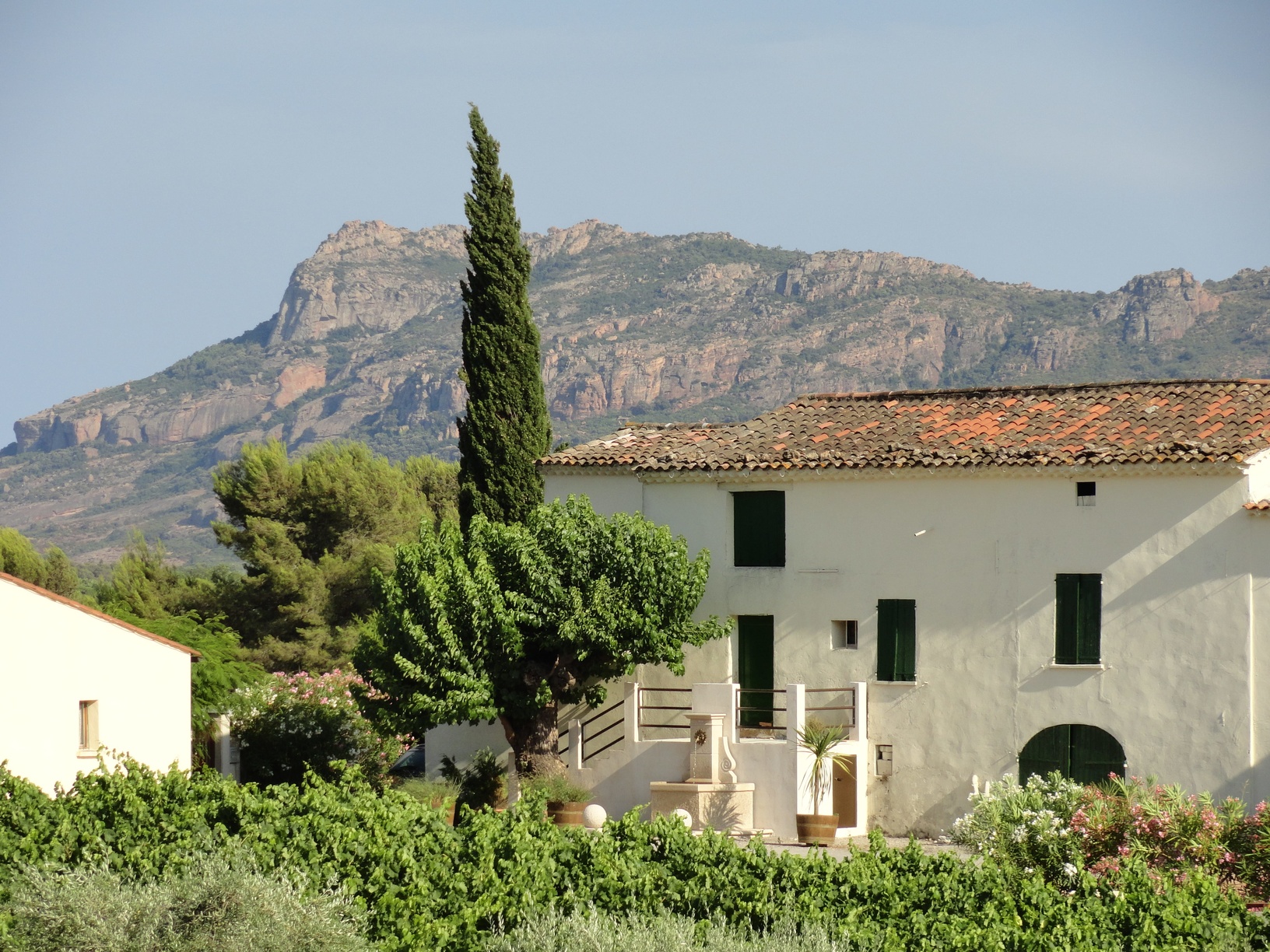 Visite et dégustation au domaine Domaine de Canta Rainette